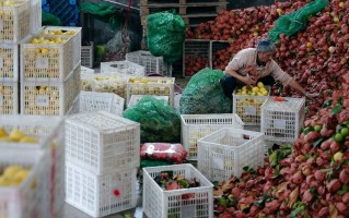 拼多多发布Q3财报，新电商迎创业十周年，加大投入反哺生态回馈社会