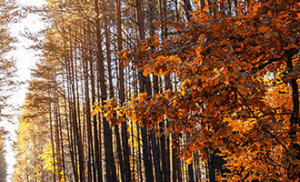 瑞声科技打入北美AR核心供应链：Meta谷歌或在列